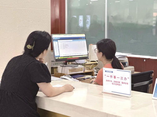 这大热天，办事少跑了100多里路——创业服务咨询的便捷与效率